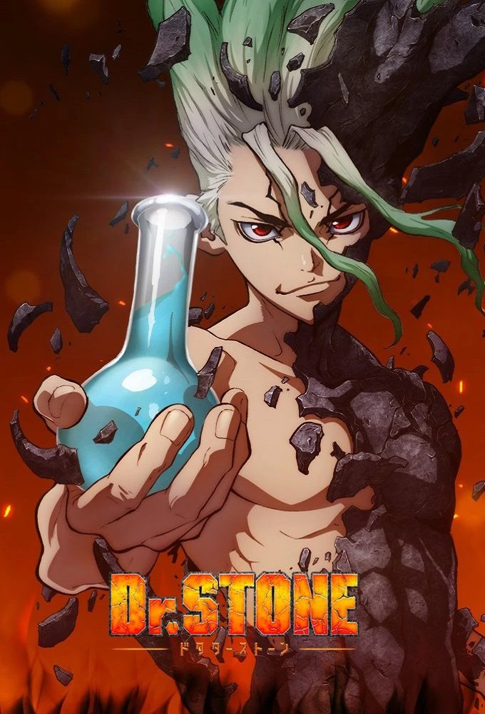 Dr. Stone Fin